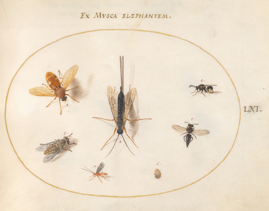 Plate 61; Seven Insects, Including Flies by Йорис Хефнагел, 1575-1590 — digital art print download