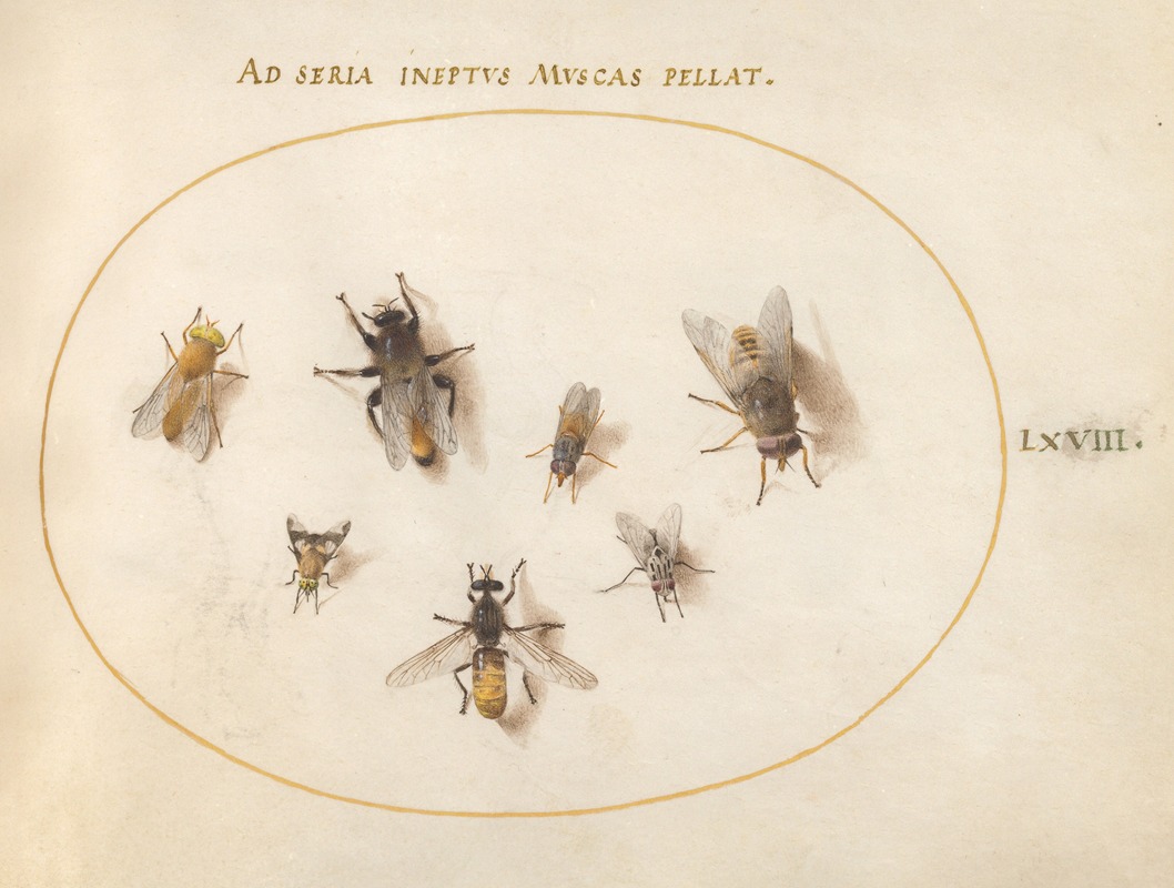 Plate 68; Seven Bees and Flies by Йорис Хефнагел, 1575-1590 — digital art print download