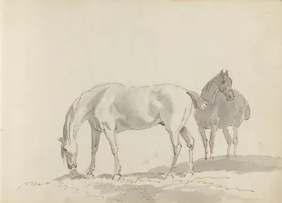 Fourty-three Studies of Horses and Riders Pl.19 by Sawrey Gilpin, 1787 — digital art print download