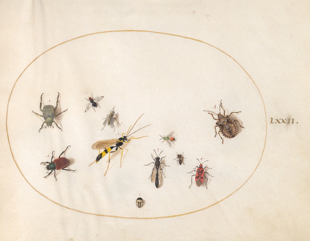 Plate 72; Shield Bug, Cinnamon Bug, Wasp, and Other Insects by Йорис Хефнагел, 1575-1590 — digital art print download