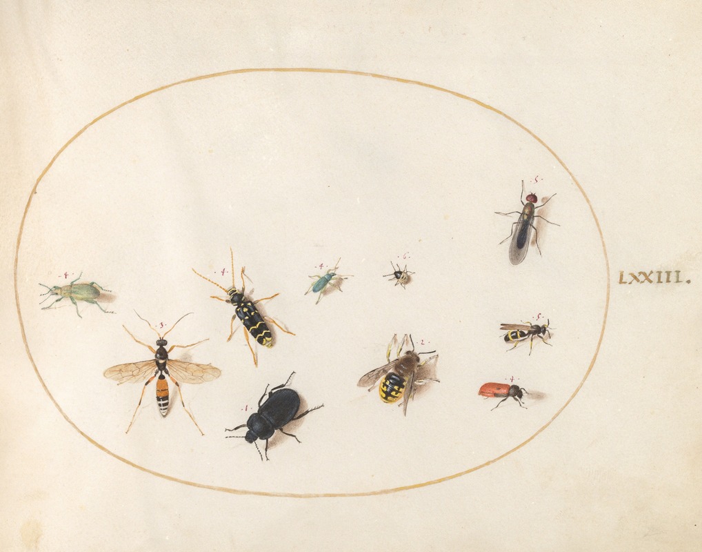 Plate 73; Ten Insects by Йорис Хефнагел, 1575-1590 — digital art print download