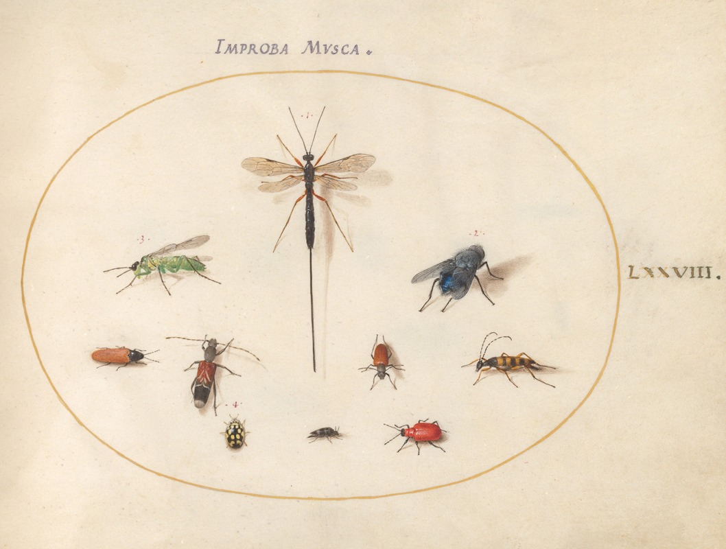 Plate 78; Ten Insects, Including a Blue Fly by Йорис Хефнагел, 1575-1590 — digital art print download