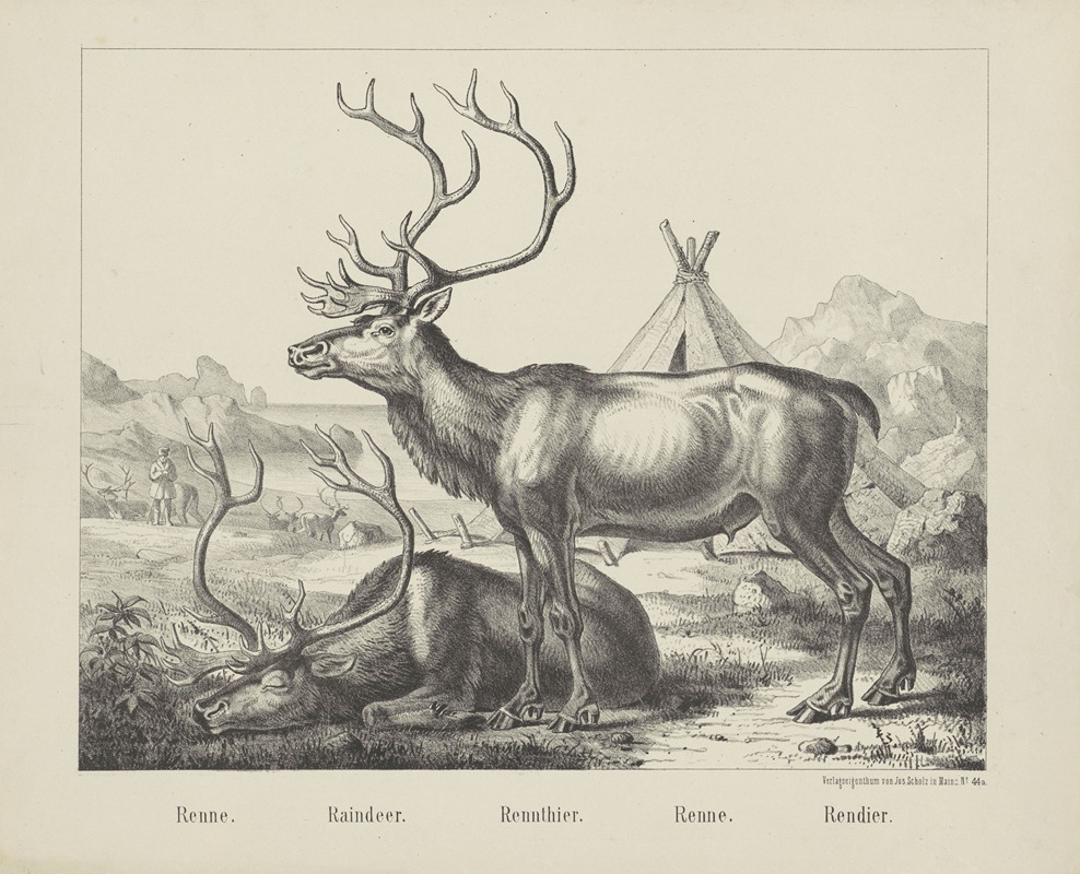 Raindeer by Иосиф Шольц, 1829-1880 — digital art print download