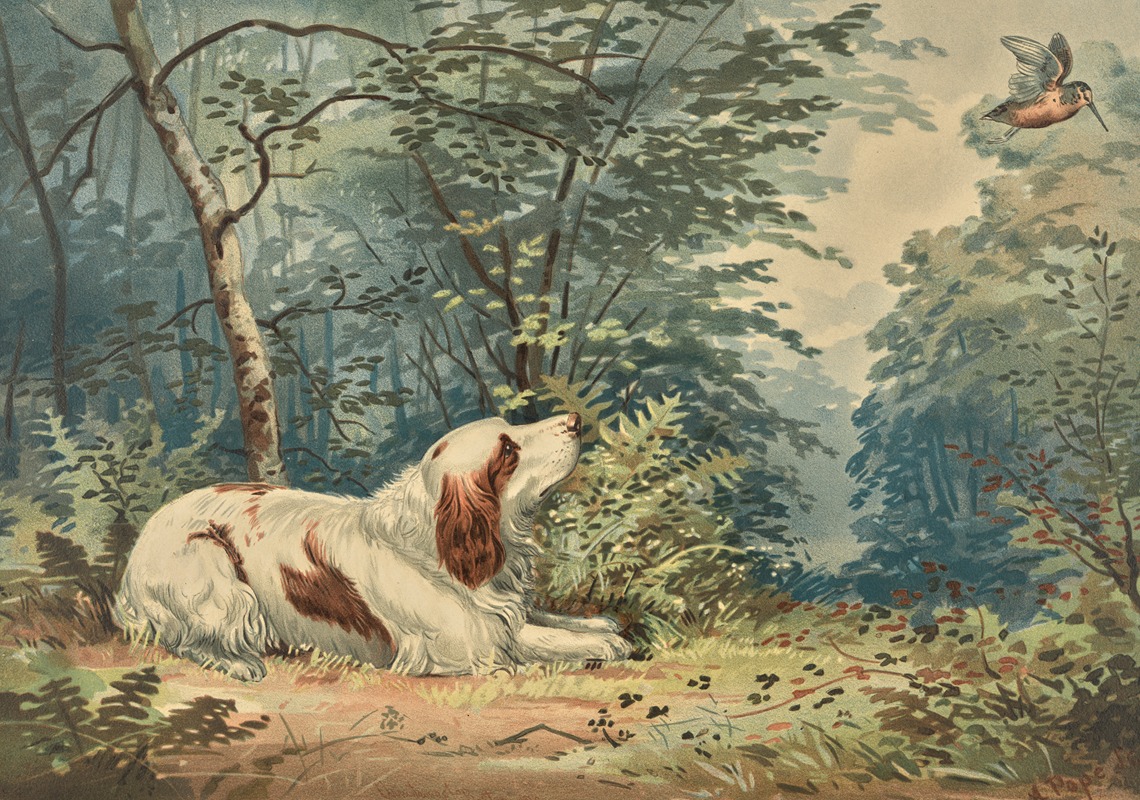Reclining Spaniel, gazing at hovering hummingbird by Alexander Pope Jr., 1880 — digital art print download