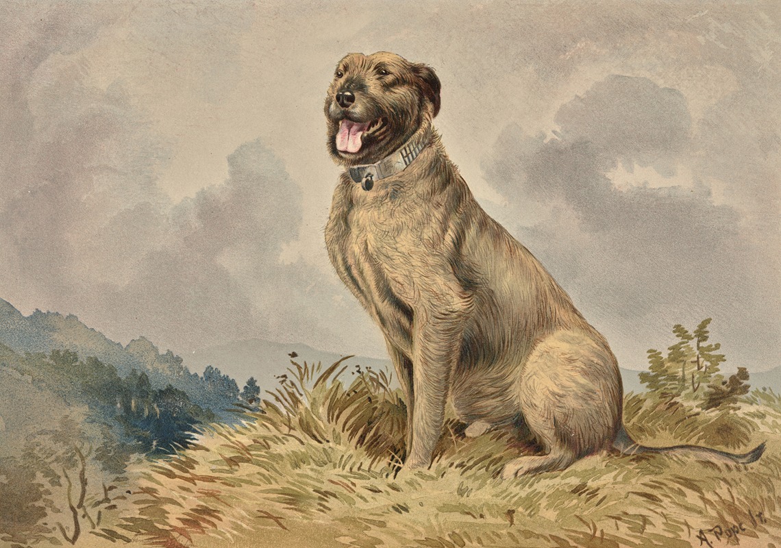 Seated Irish Wolfhound by Alexander Pope Jr., 1880 — digital art print download