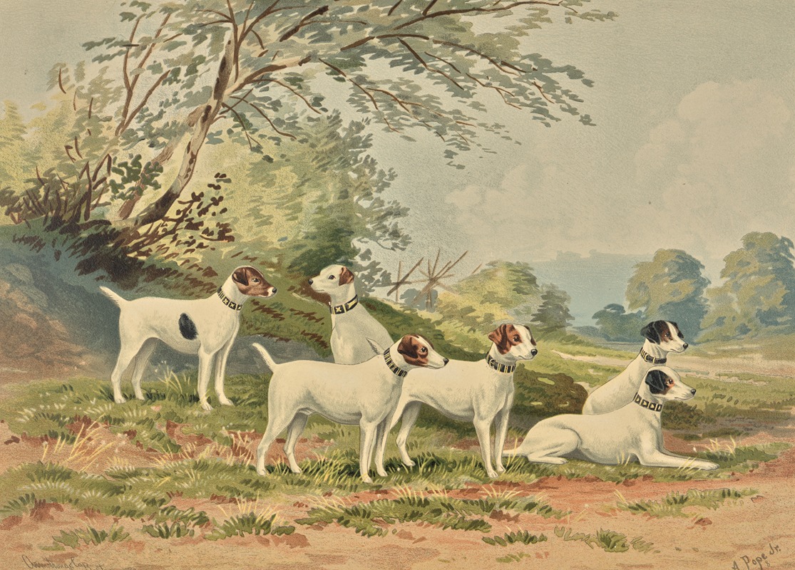 Six Jack Russell Terriers by Alexander Pope Jr., 1880 — digital art print download