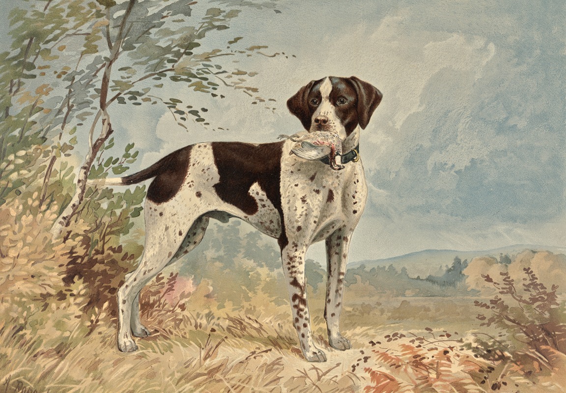 Standing English Pointer, facing right, bird in mouth by Alexander Pope Jr., 1880 — digital art print download