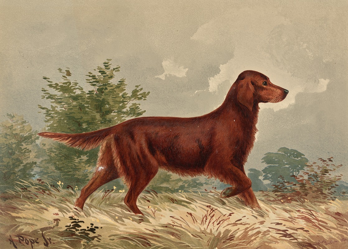 Standing Flatcoated Retriever, facing right by Alexander Pope Jr., 1880 — digital art print download