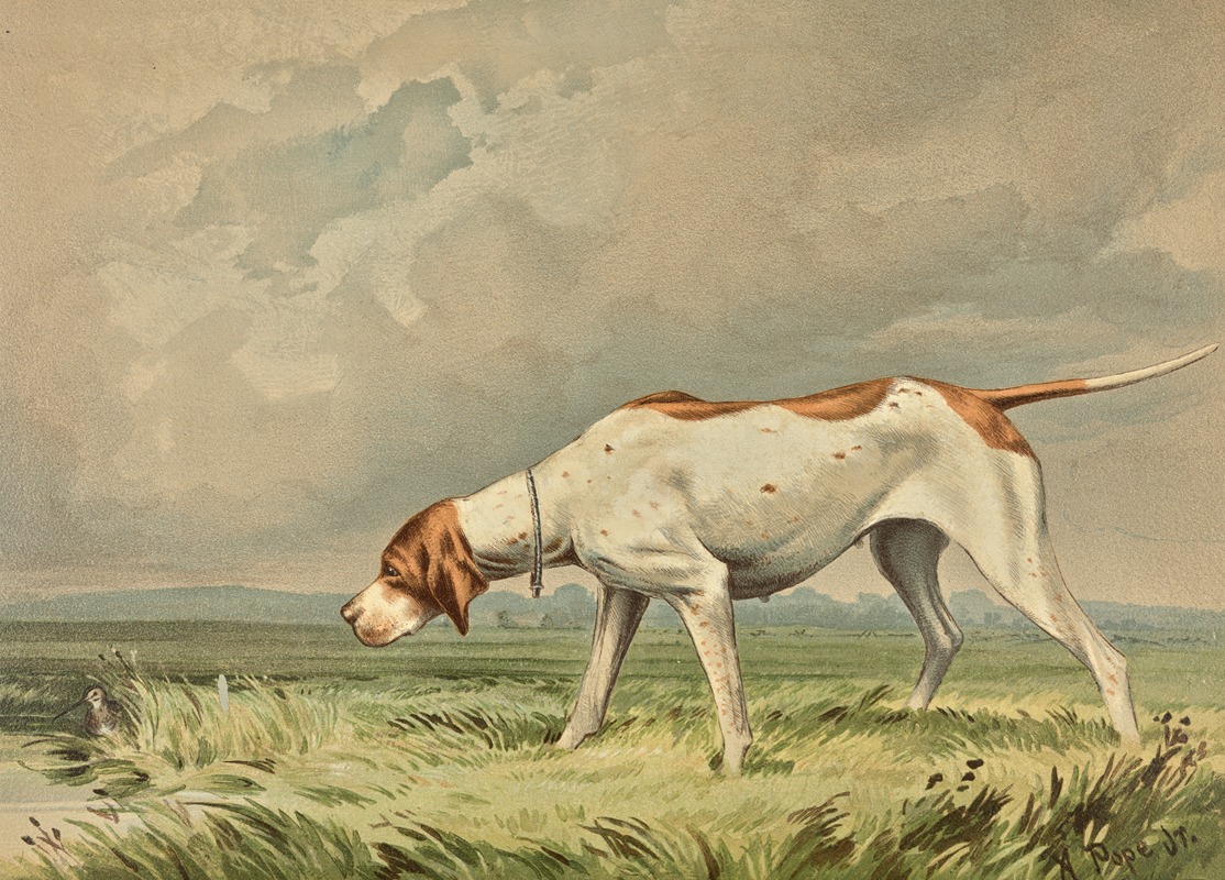 Standing Pointer, gazing at small bird in pond by Alexander Pope Jr., 1880 — digital art print download