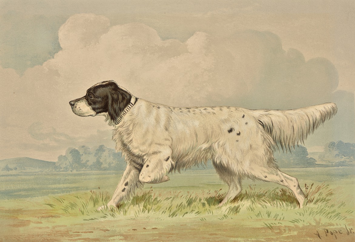 Standing Spotted Retriever, pointing left by Alexander Pope Jr., 1880 — digital art print download