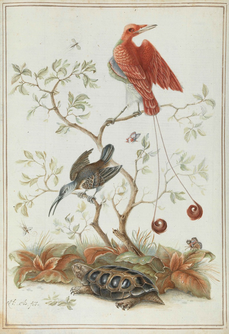 Exotische Vögel mit Schildkröte by Аноним — digital art print download
