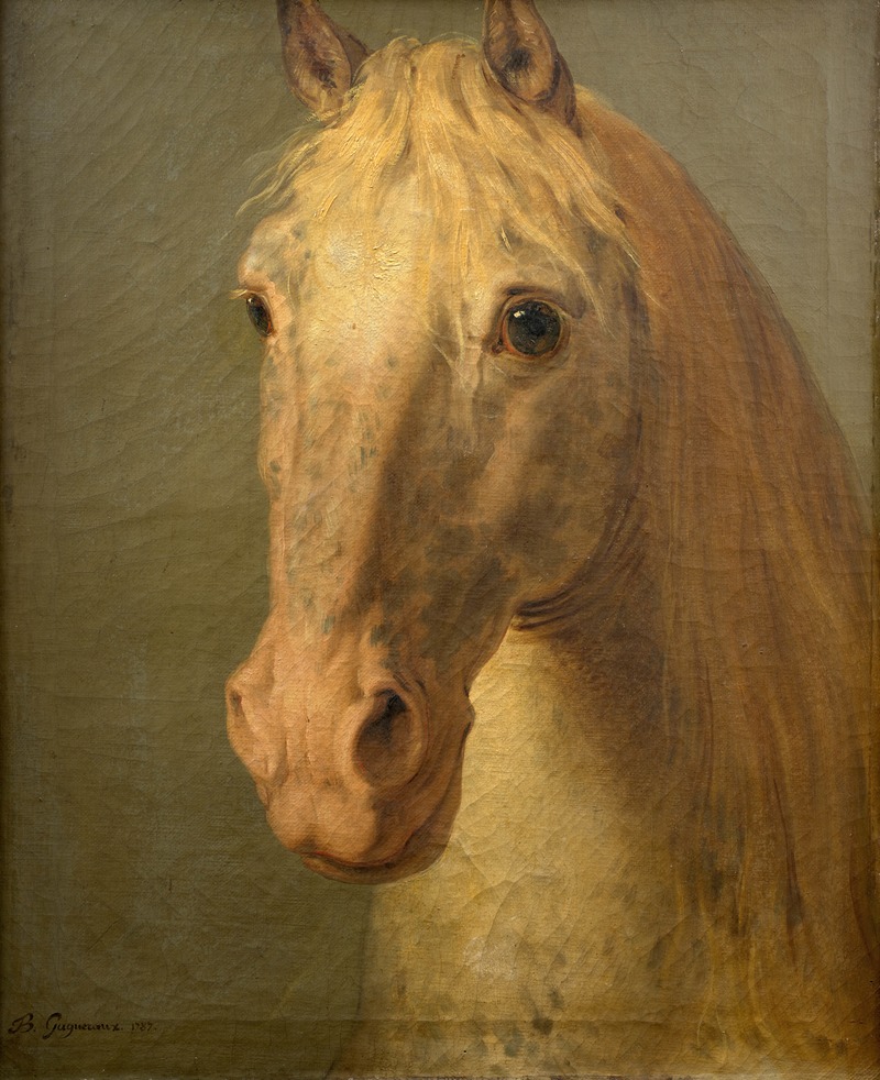 Tête de cheval blanc by Bénigne Gagneraux — digital art print download