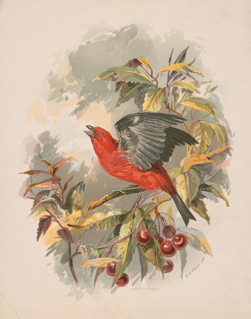 Scarlet tanager on a cherry tree branch by Генри Уокер Херрик, 1892 — digital art print download