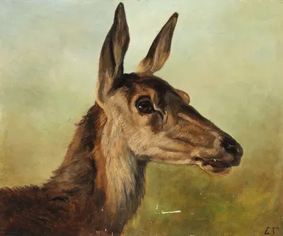 Kopf einer Hirschkuh by Ludwig Voltz — digital art print download