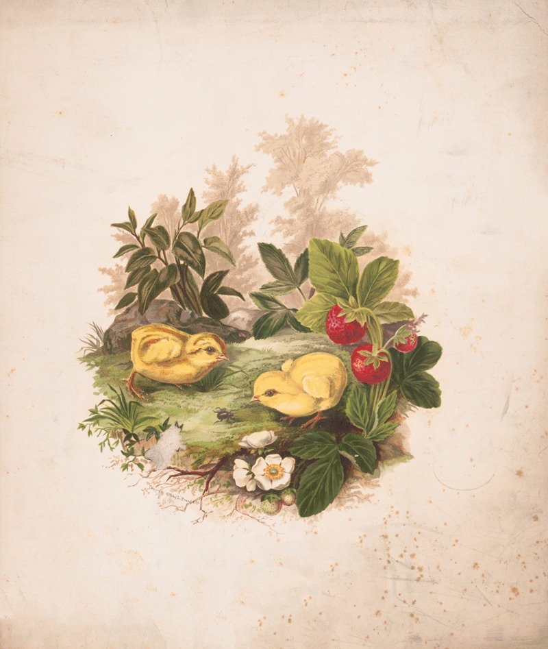 Chickens and strawberries by Olive E Whitney, 1875 — digital art print download