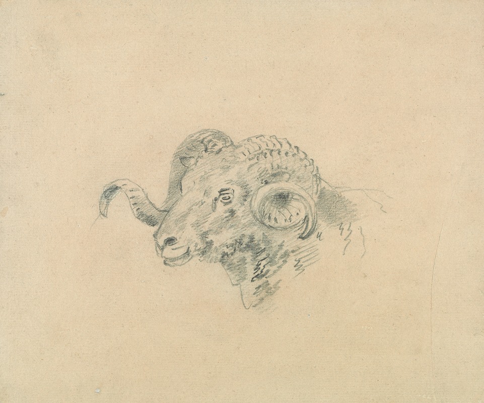 Head of a Ram by Сорей Гилпин — digital art print download