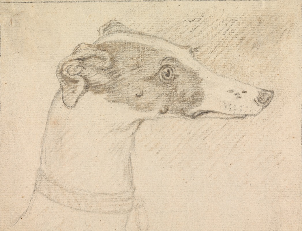 Head Portrait of Grayhound — Sawrey Gilpin