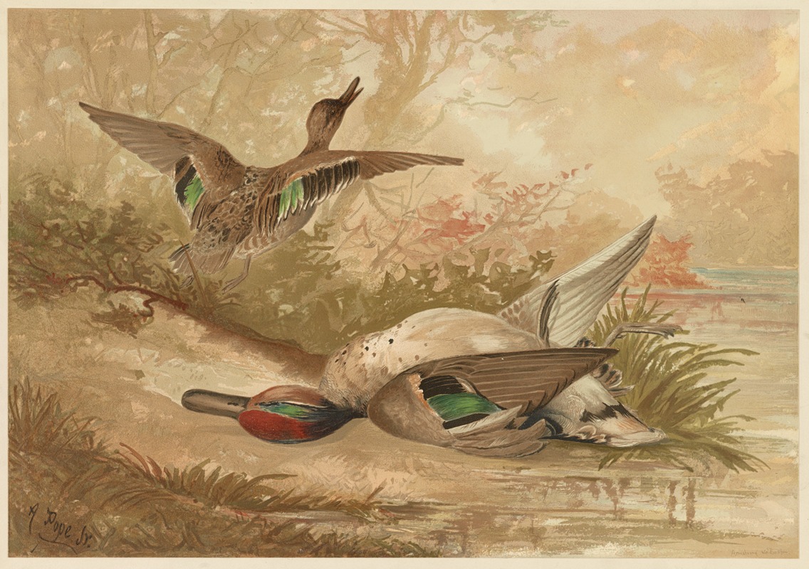 Ducks, one fleeing, one dead by Alexander Pope Jr. — digital art print download
