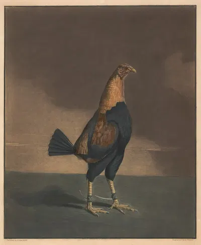 The Trimm'd Cock by Бенджамин Маршалл, 1835 — digital art print download