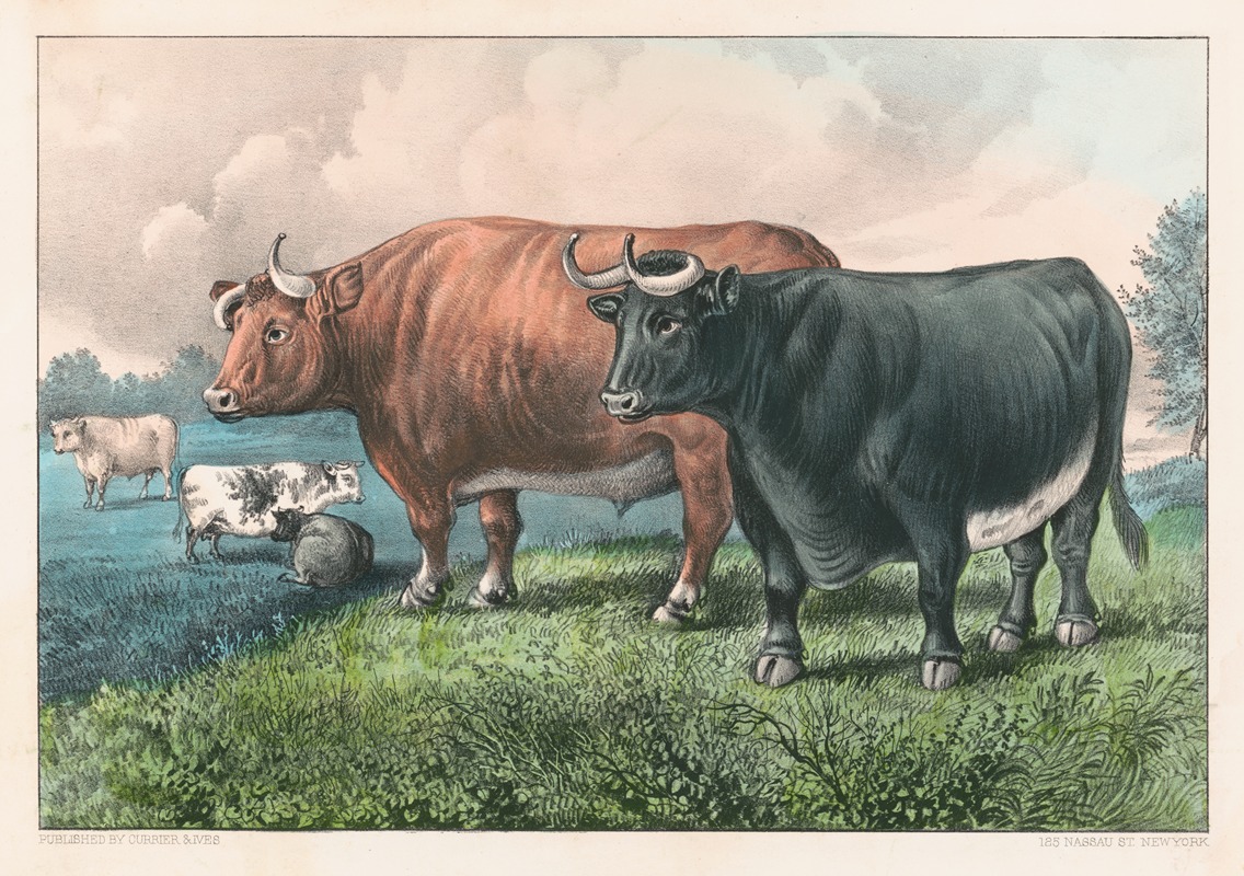 Prize fat cattle by Керриер и Айвс — digital art print download