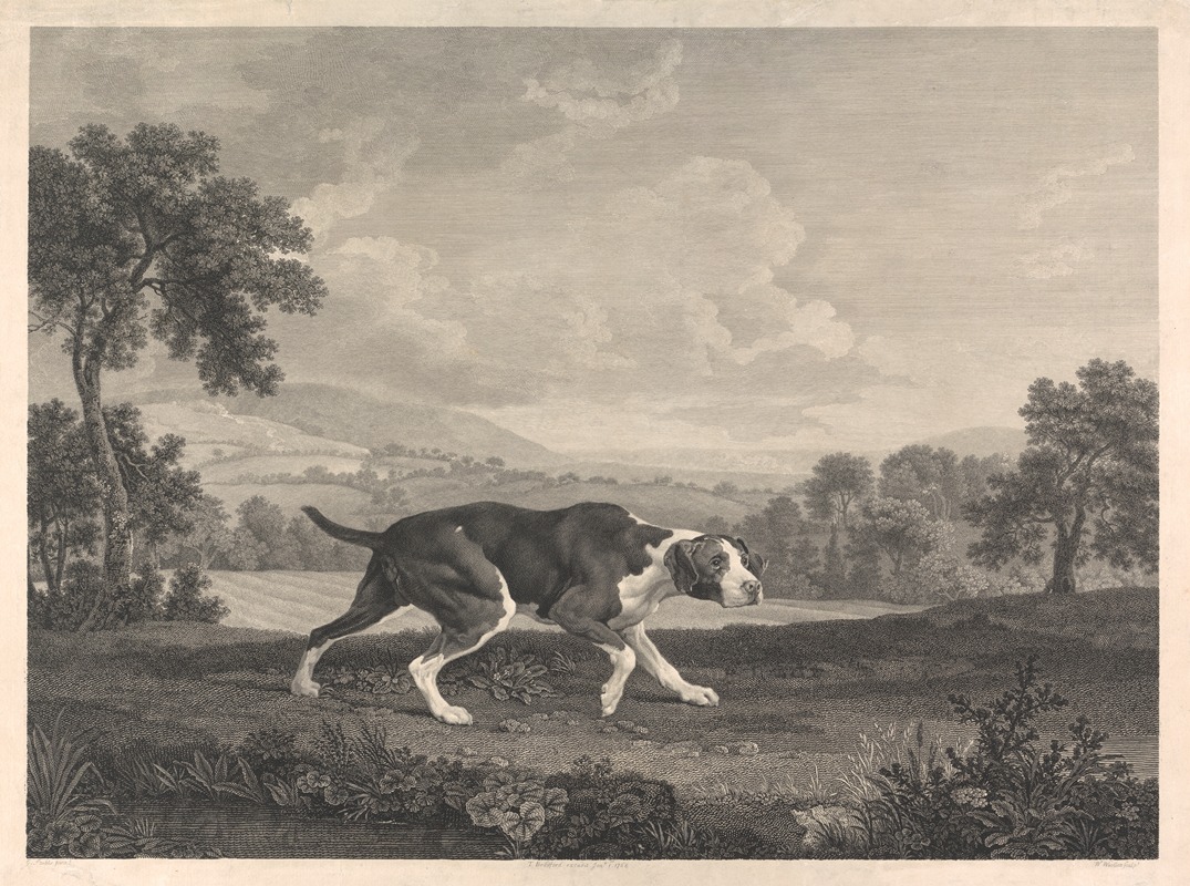 The Spanish Pointer by George Stubbs, 1768 — digital art print download