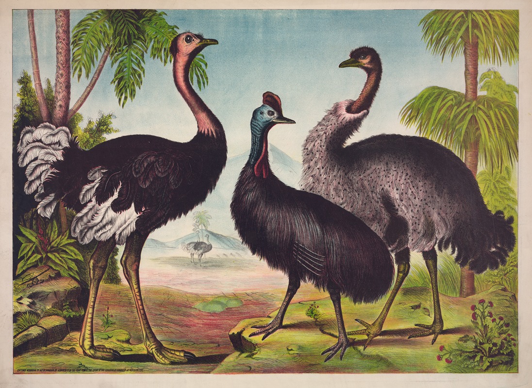 The ostrich by Gibson & Co. Lith, 1874 — digital art print download