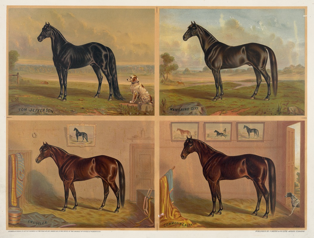 Americas renowned stallions by J. Mayer & Co., 1876 — digital art print download