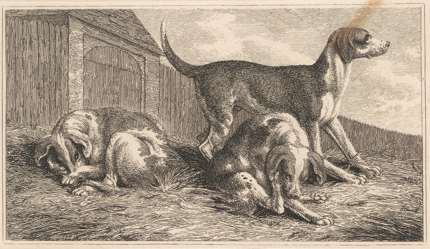 Three Dogs by Самуэль Ховитт — digital art print download