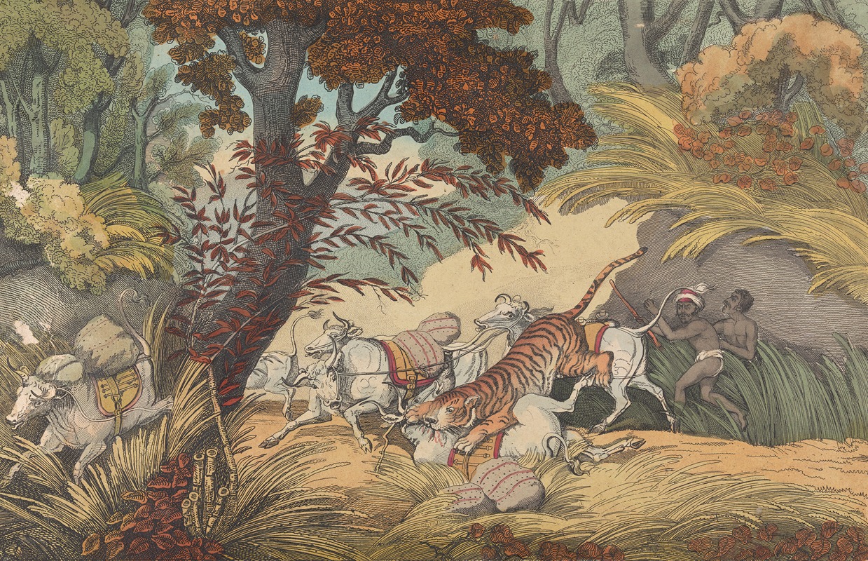 A Tiger Seizing a Bullock in a Pass by Самуэль Ховитт — digital art print download