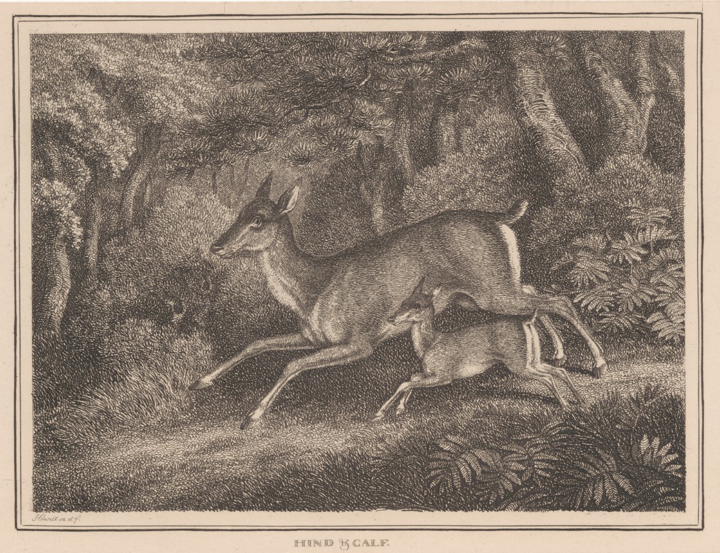 Hind and Calf by Samuel Howitt, 1834 — digital art print download