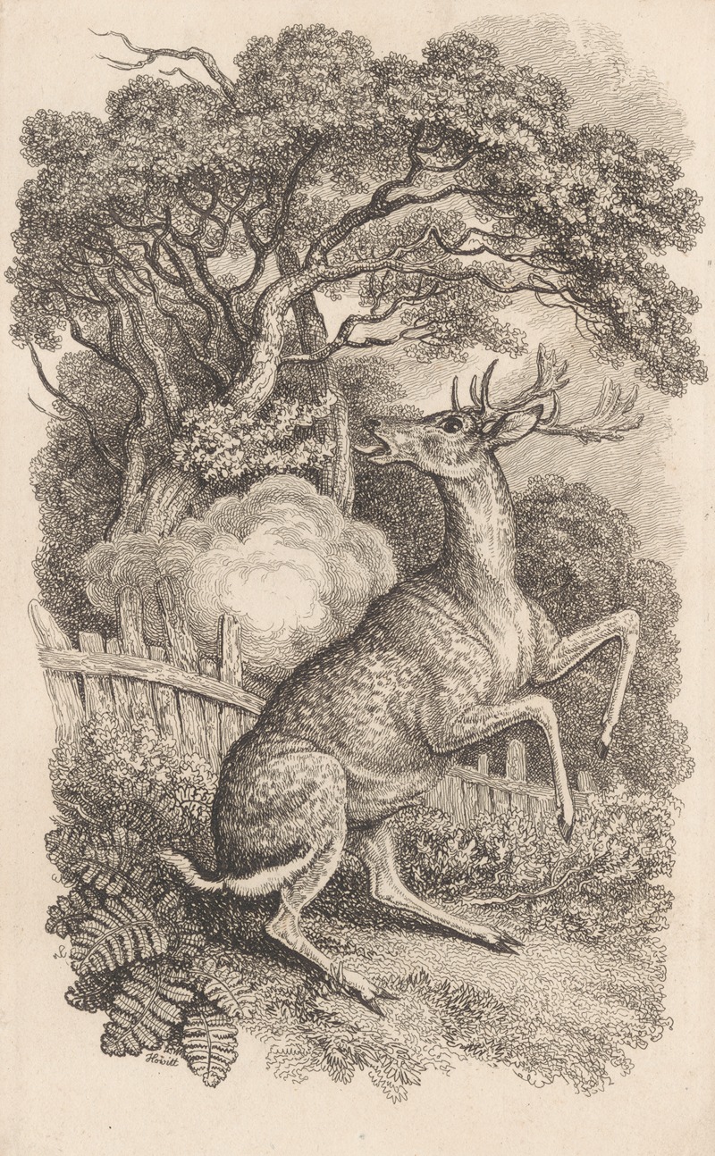 The Buck's Death Wound by Самуэль Ховитт, 1818 — digital art print download