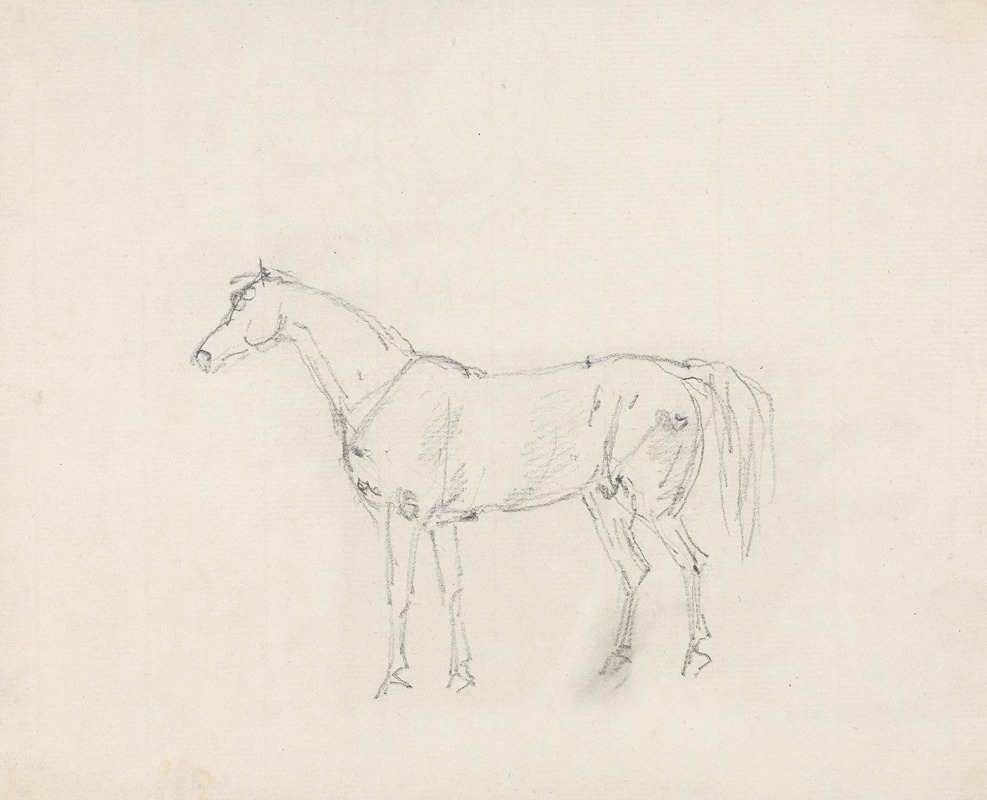 Horse by Сорей Гилпин — digital art print download