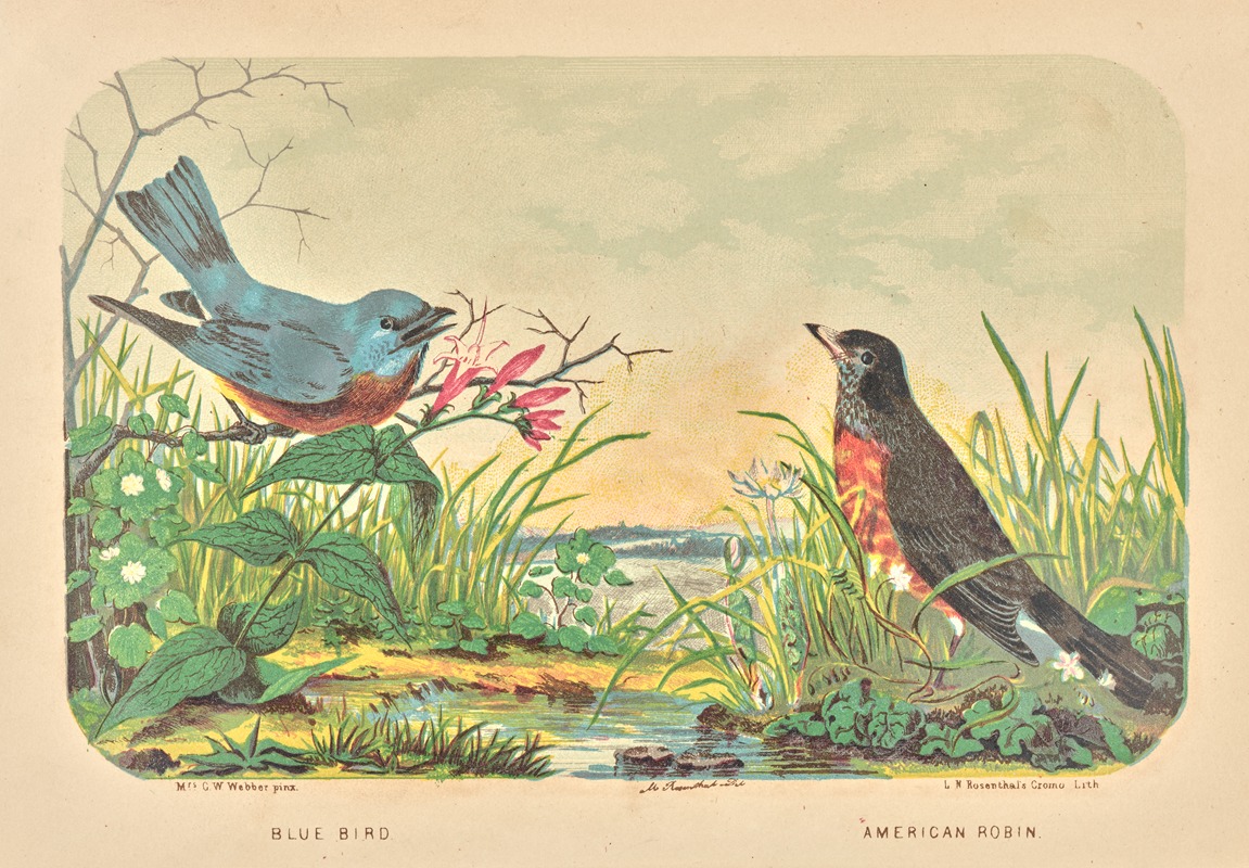 Blue Bird, American Robin. by Charles Wilkins Webber — digital art print download