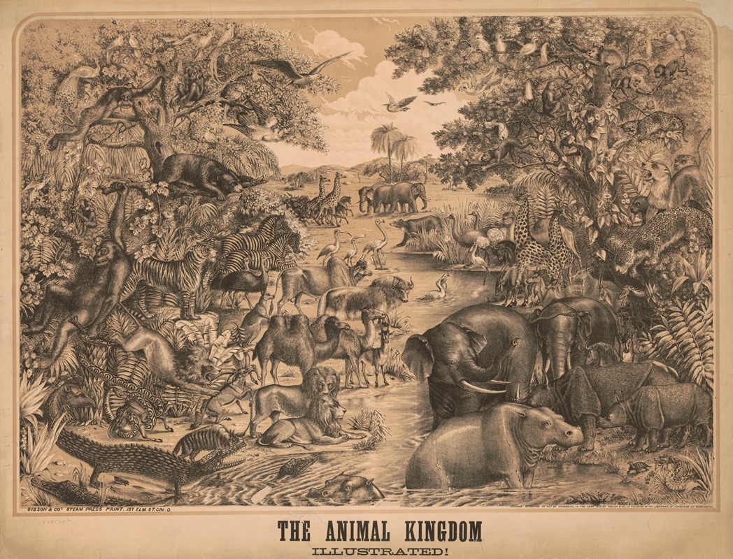 The animal kingdom, illustrated! — Gibson & Co. Lith