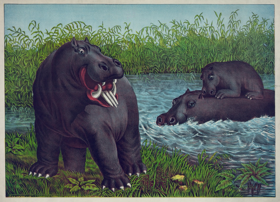 The hippototamus by Гибсон и Ко. Лит, 1874 — digital art print download