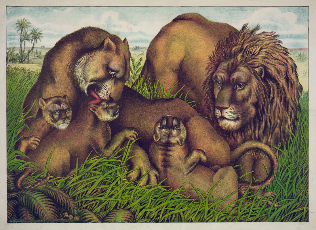 The lion family — Гибсон и Ко. Лит