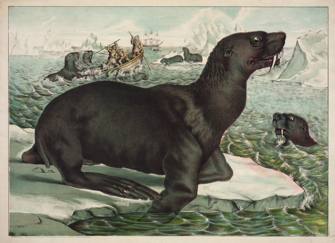 The sea lion by Гибсон и Ко. Лит, 1874 — digital art print download