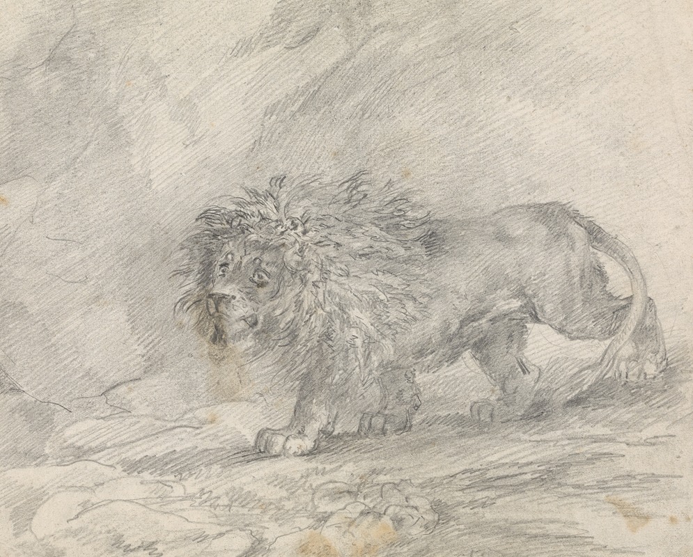 Lion Walking in Rocky Landscape — Sawrey Gilpin