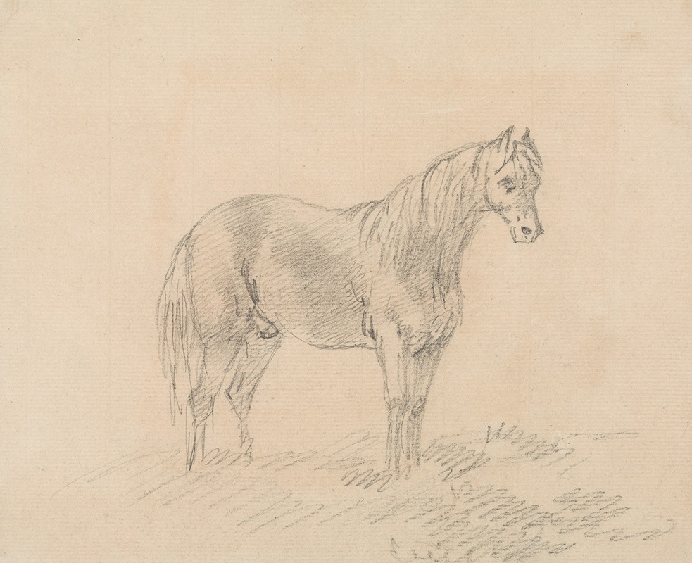 Male Horse by Сорей Гилпин — digital art print download