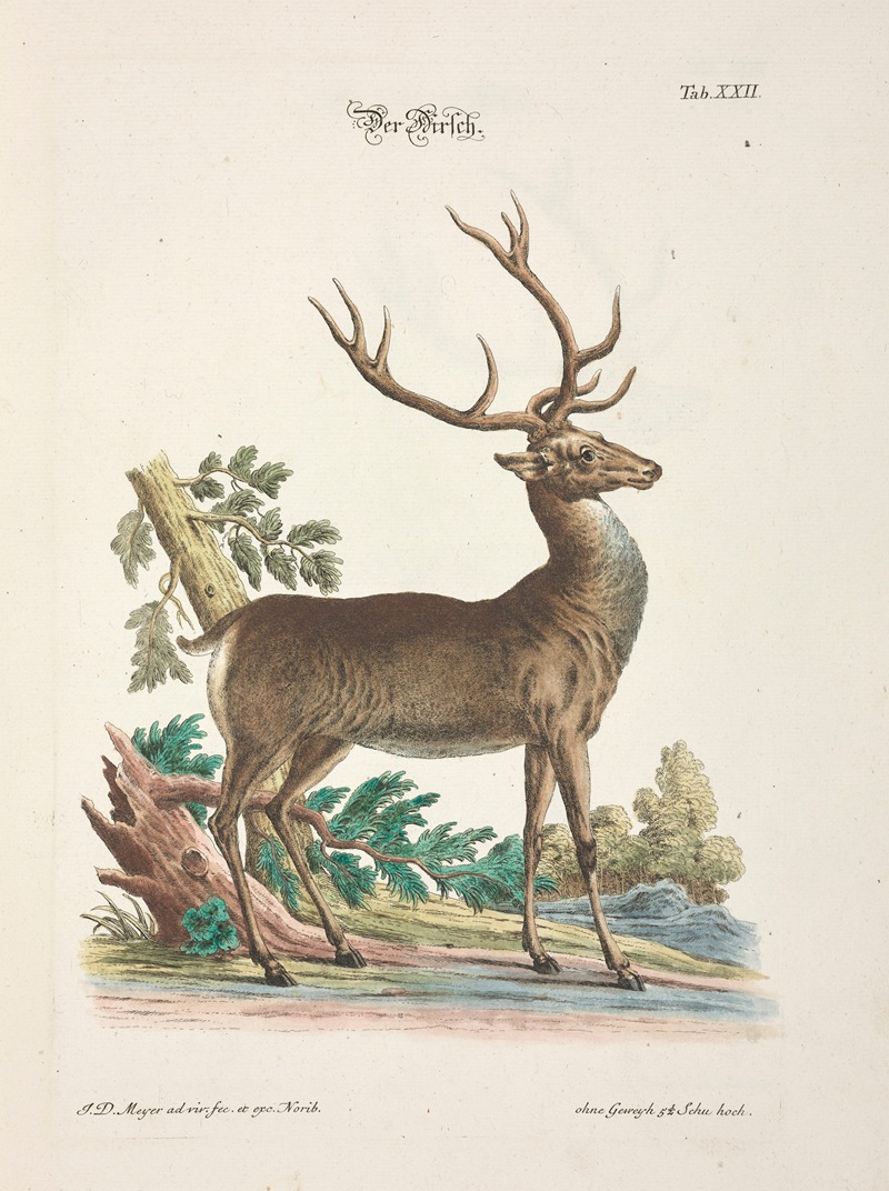 Angenehmer und nützlicher Zeit-Vertreib Pl.022 — Johann Daniel Meyer