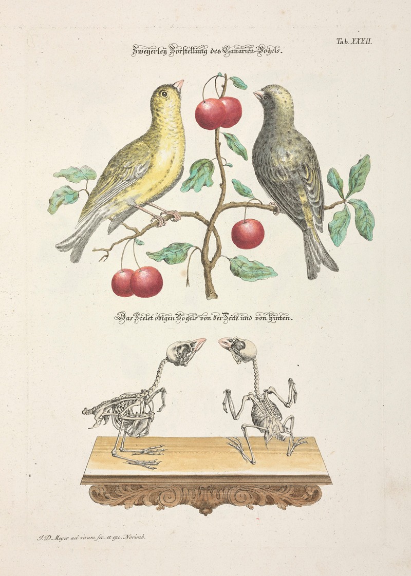 Angenehmer und nützlicher Zeit-Vertreib Pl.032 — Johann Daniel Meyer