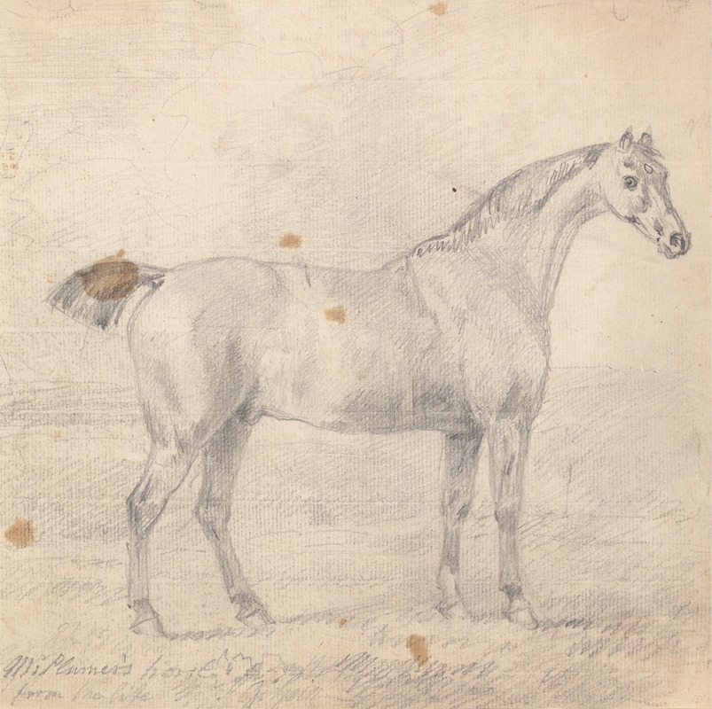 Mr. Plumer's Horse by Сорей Гилпин — digital art print download