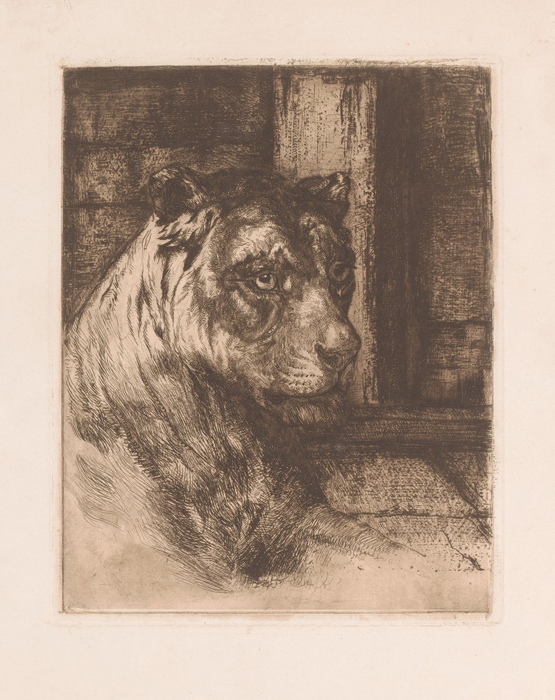 Head of a reclining lioness. — Joseph Schippers
