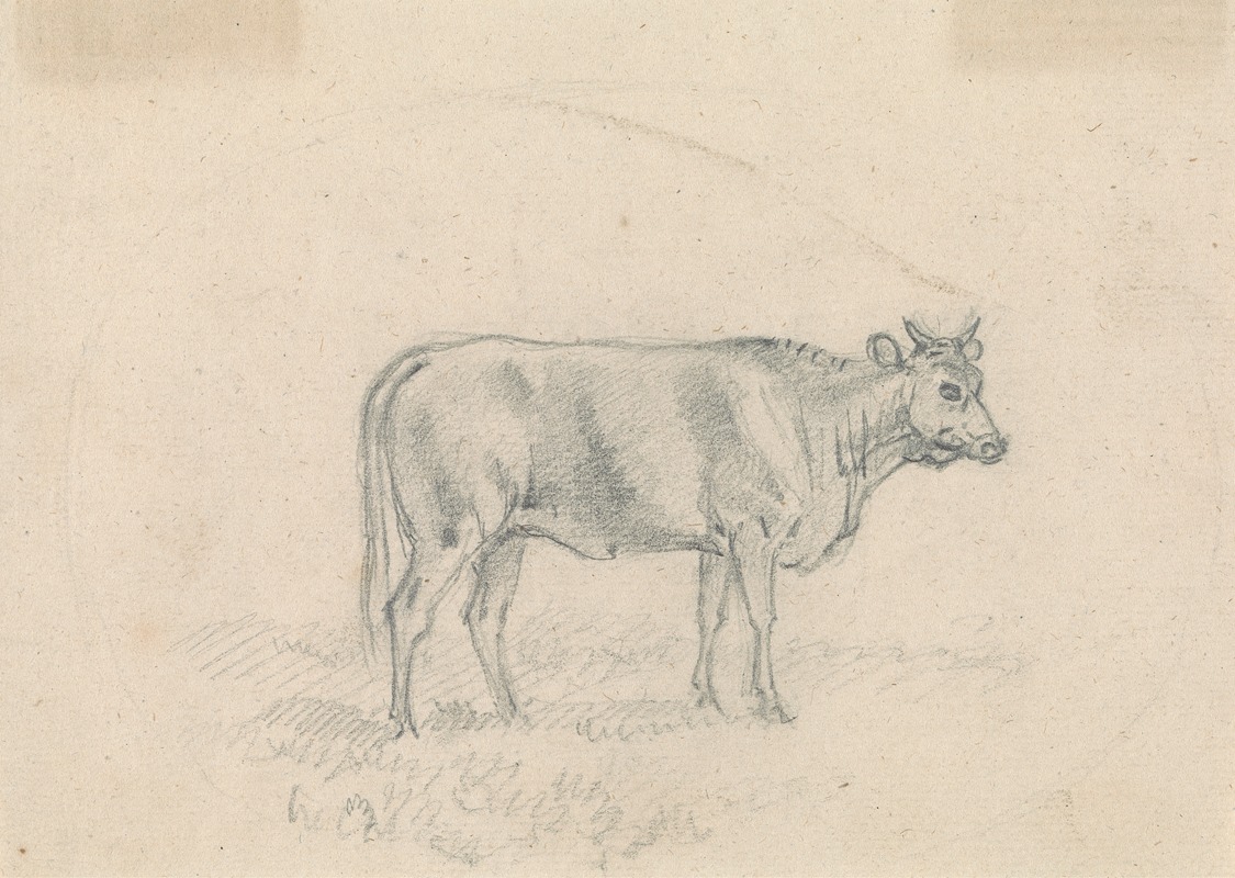 Sketch of a Cow — Sawrey Gilpin