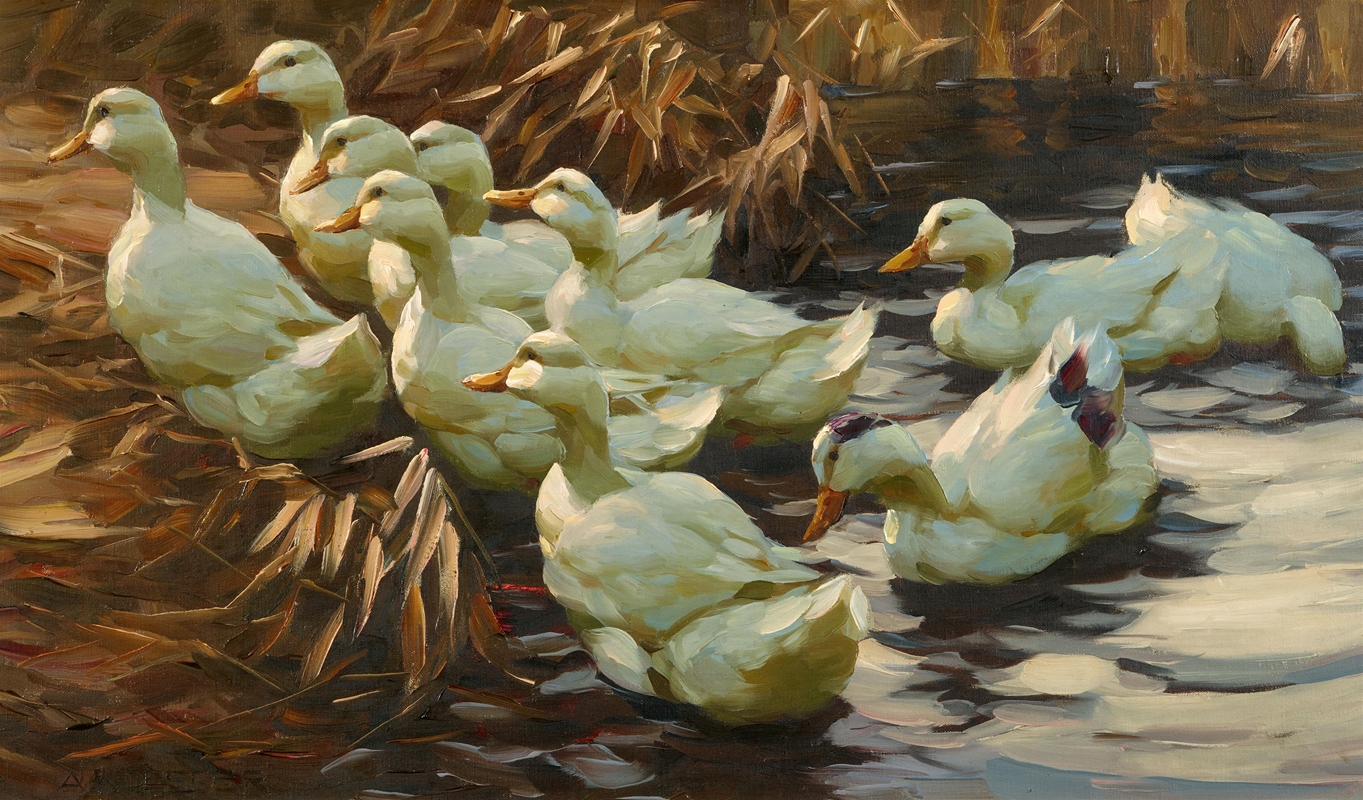 Enten aus dem Wasser gehend — Alexander Koester