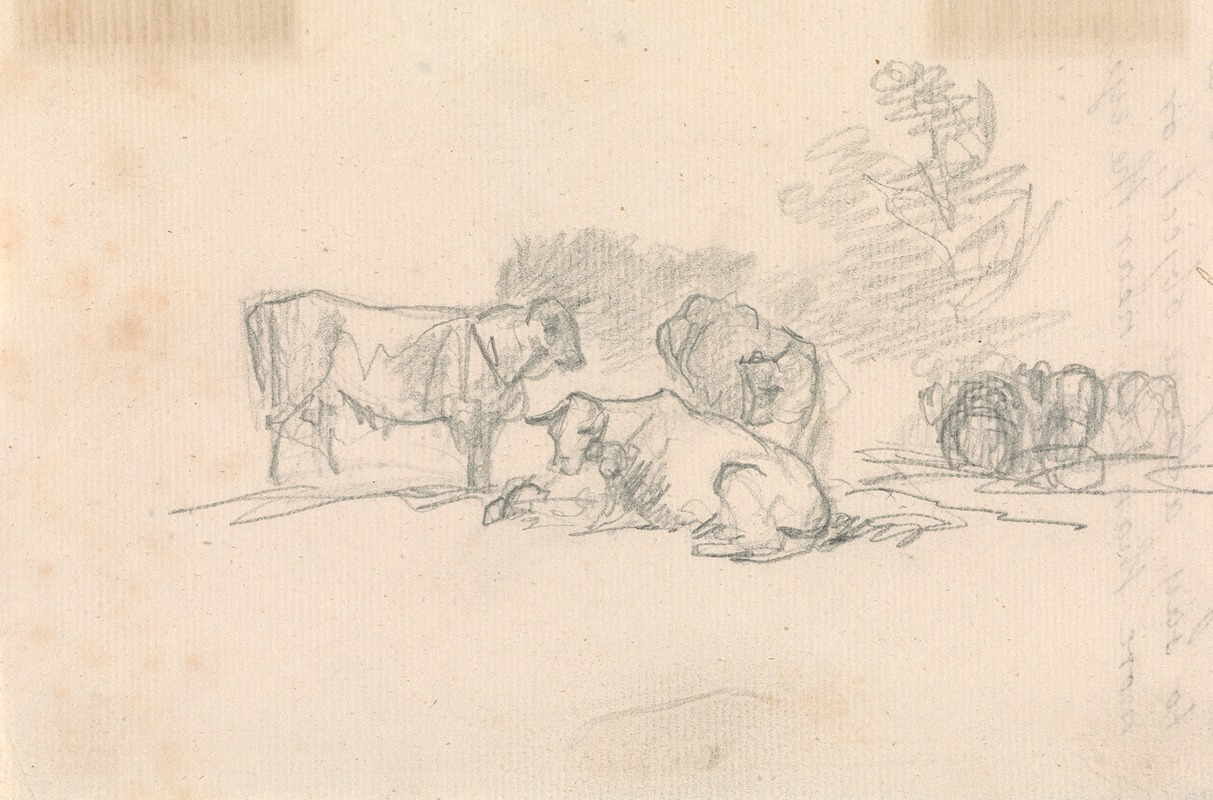 Sketch of Cattle by Сорей Гилпин — digital art print download