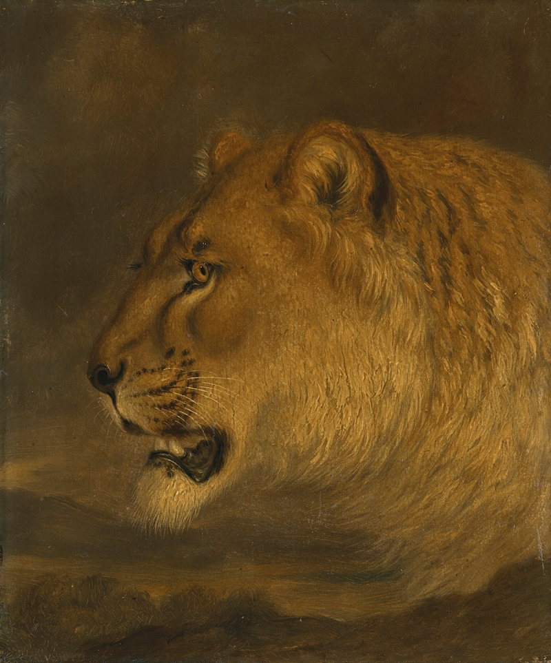 Head of a lion — Жак-Лоран Агаз