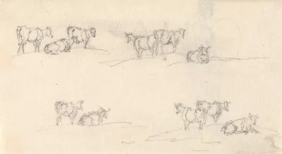 Studies of a Cattle by Sawrey Gilpin — digital art print download