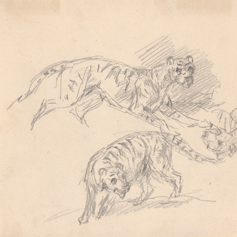 Studies of a tiger by Сорей Гилпин — digital art print download