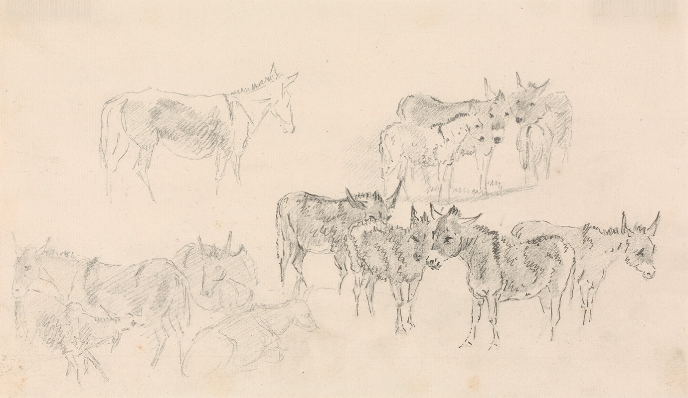 Studies of Donkeys by Сорей Гилпин — digital art print download